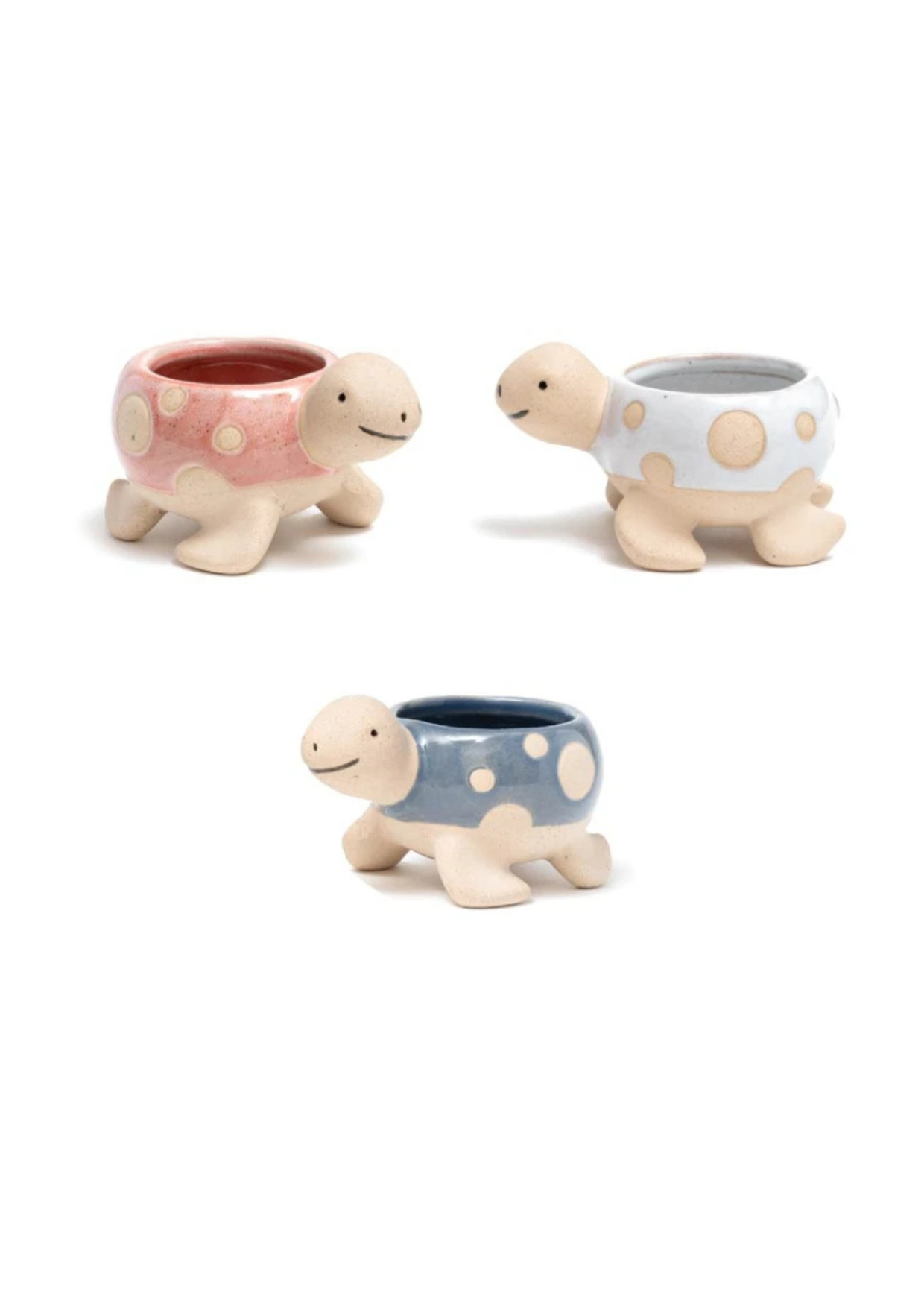 Bomboniera vaso portapiantina tartaruga piccola vari colori B6903