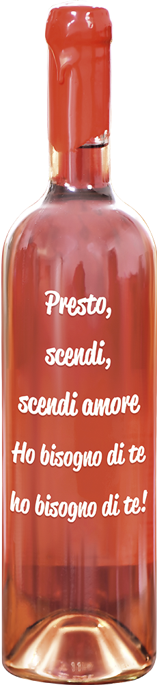 Vino rosato Negroamaro Quadri & Quadri var. 3