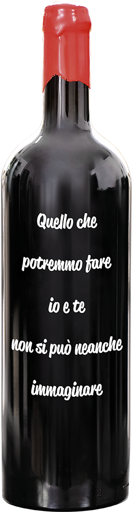 Vino rosso Primitivo di Manduria Quadri & Quadri var. 1