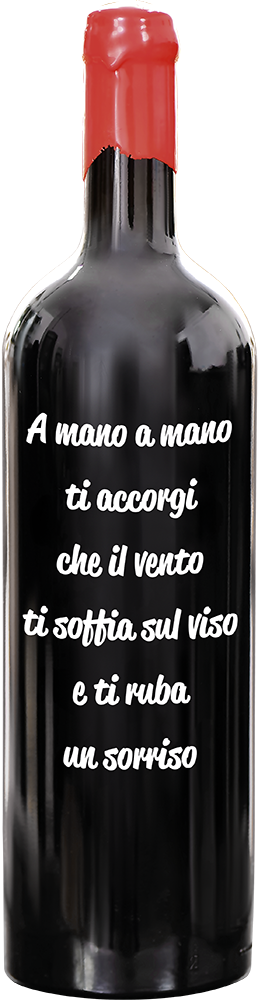 Vino rosso Primitivo di Manduria Quadri & Quadri var. 2